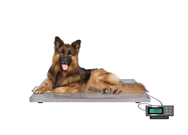 Tree LVS+ 700 Wireless Veterinary Scale – 700 lb x 0.2 lb – Legal for Trade - Titan Scale USA