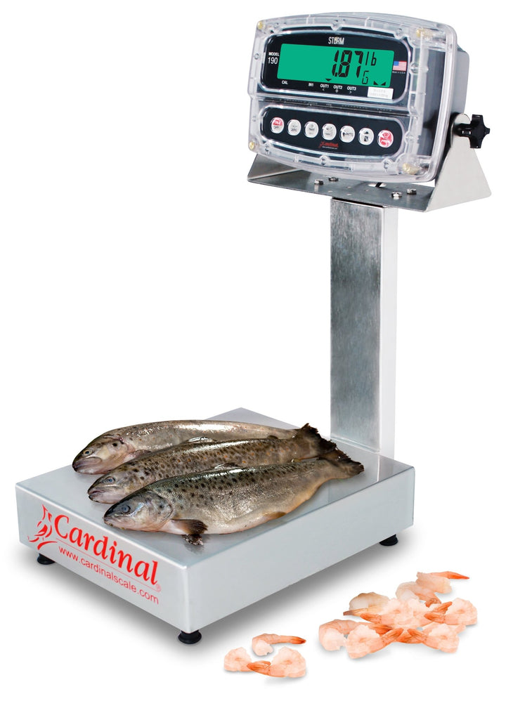Cardinal EB - 190 Bench Scale – Legal for Trade, IP69K Indicator, Stainless Steel - Titan Scale USA