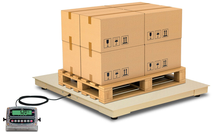 Cardinal Echelon EH Floor Scale with 185 Indicator – NTEP, 5K–10K lb - Titan Scale USA